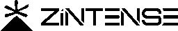 logo complet zintense